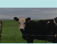Tablet Screenshot of conklinfarms.com